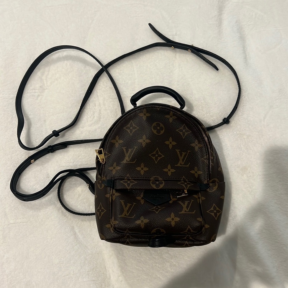 Louis Vuitton Palm Springs mini backpack